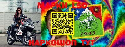 ешки Будённовск