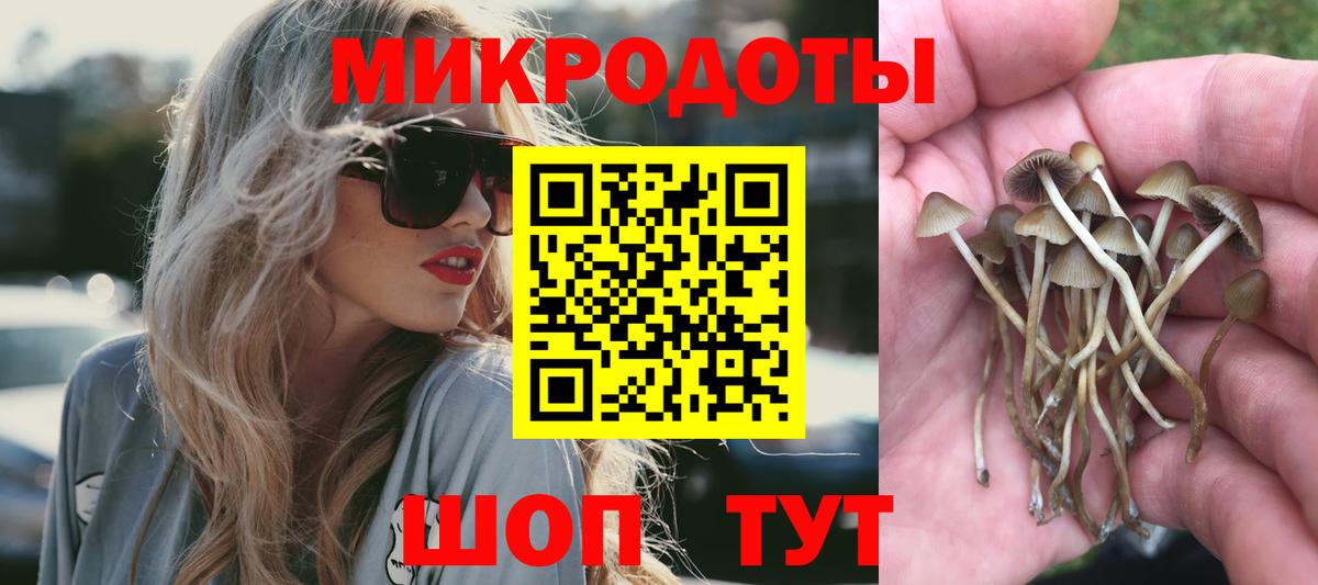 Галлюциногенные грибы GOLDEN TEACHER  Вход с VPN  Видное 