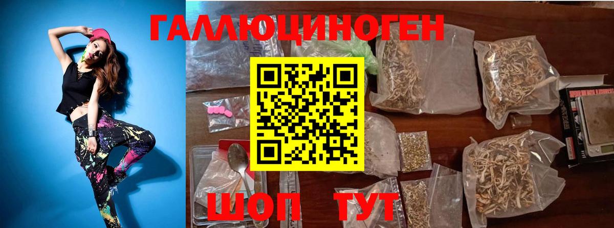 Галлюциногенные грибы Cubensis Видное