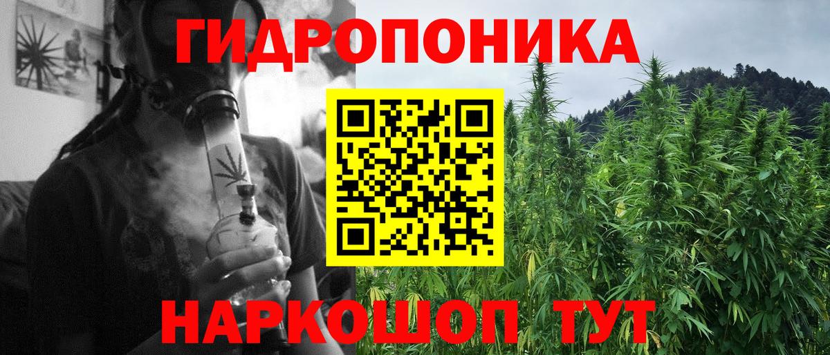 Канабис SATIVA & INDICA Видное